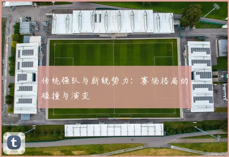 传统强队与新锐势力：赛场格局的碰撞与演变