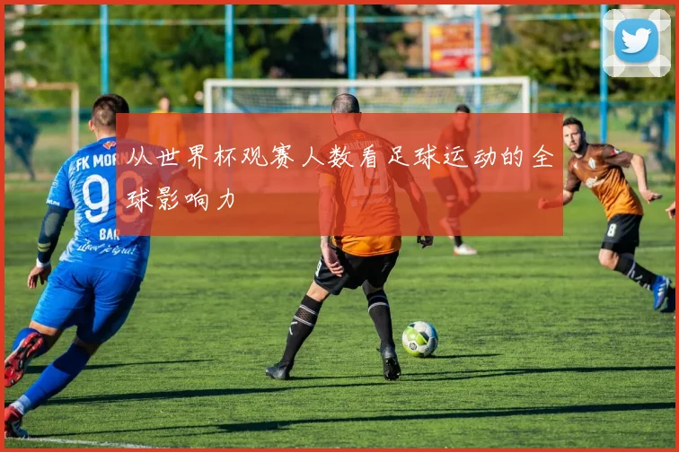 从世界杯观赛人数看足球运动的全球影响力